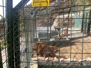 El zoo clandestino de Peña Escrita