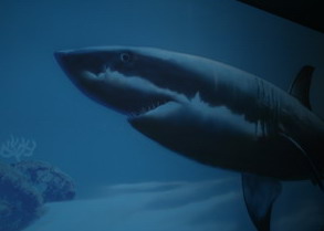 Aquarium: historia de un escándalo