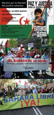 Miles de personas se manifiestan en Madrid por la autodeterminación del Sahara Occidental