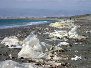 Ecologistas se persona en la causa por los vertidos en las playas granadinas