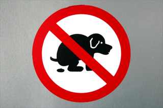 IU pide una actitud decidida del ayuntamiento para acabar con los excrementos de perro en las aceras