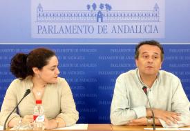 IU Andalucía defenderá la ampliación de los supuestos en la expropiación temporal del uso de la vivienda